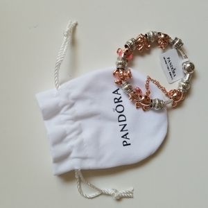 Pandora Bracelet with Disney Themed Charms size 6.5"